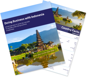 Doing Business with Indonesia Bundle